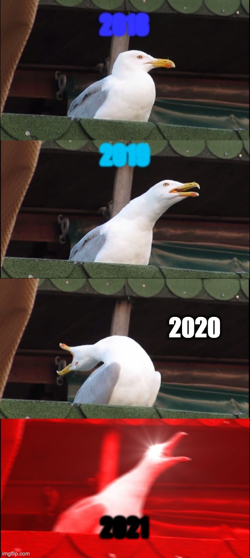 YEARS EVOLUTION IN UNITED STATES | 2018; 2019; 2020; 2021 | image tagged in memes,inhaling seagull | made w/ Imgflip meme maker