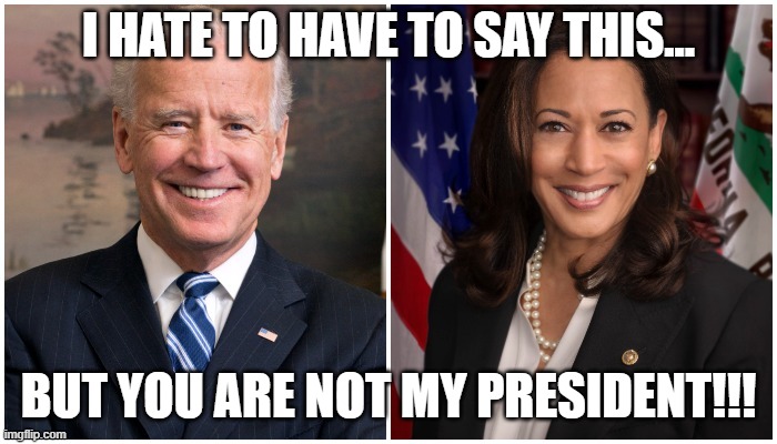 Not My President | I HATE TO HAVE TO SAY THIS... BUT YOU ARE NOT MY PRESIDENT!!! | image tagged in theft,election,nwo | made w/ Imgflip meme maker