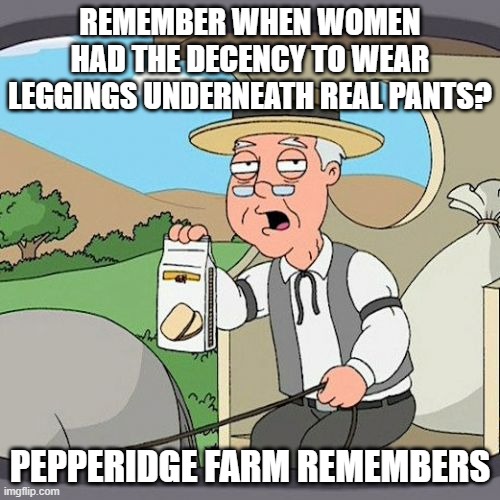 Pepperidge Farm Remembers | REMEMBER WHEN WOMEN HAD THE DECENCY TO WEAR LEGGINGS UNDERNEATH REAL PANTS? PEPPERIDGE FARM REMEMBERS | image tagged in memes,pepperidge farm remembers,memes | made w/ Imgflip meme maker