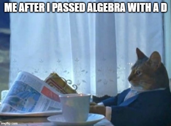 I Should Buy A Boat Cat | ME AFTER I PASSED ALGEBRA WITH A D | image tagged in memes,i should buy a boat cat | made w/ Imgflip meme maker