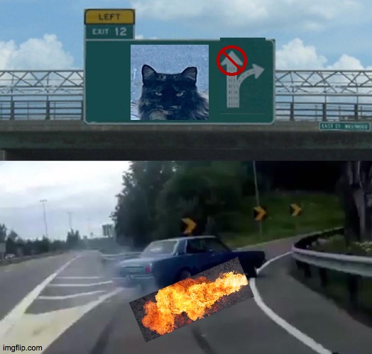 Can you hear meow? | image tagged in left exit 12 off ramp,drifting,side,kick,meow,food | made w/ Imgflip meme maker