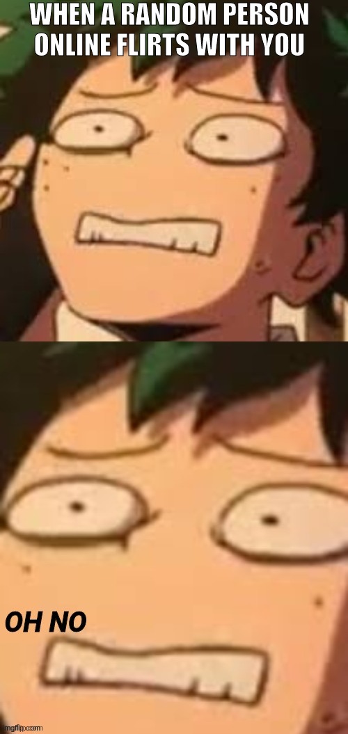 OH NO | WHEN A RANDOM PERSON ONLINE FLIRTS WITH YOU | image tagged in deku oh no | made w/ Imgflip meme maker