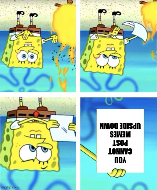 Spongebob Burning Paper | YOU CANNOT POST MEMES UPSIDE DOWN | image tagged in spongebob burning paper,stupid memes,bad memes,memes about memes,i dont care,upside-down | made w/ Imgflip meme maker