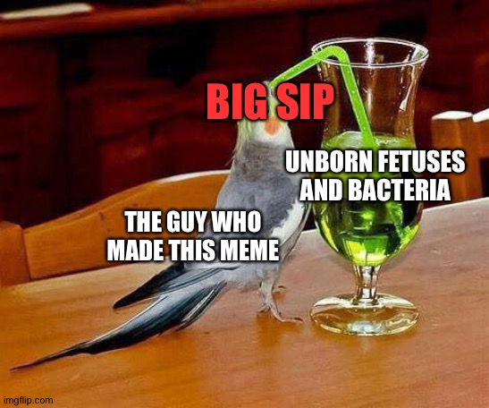 Big Sip | THE GUY WHO MADE THIS MEME UNBORN FETUSES AND BACTERIA BIG SIP | image tagged in big sip | made w/ Imgflip meme maker