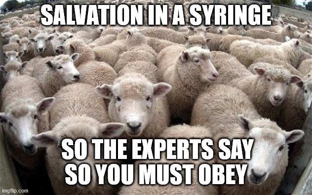 media sez vaccine better than Jesus | SALVATION IN A SYRINGE; SO THE EXPERTS SAY; SO YOU MUST OBEY | image tagged in sheeple | made w/ Imgflip meme maker