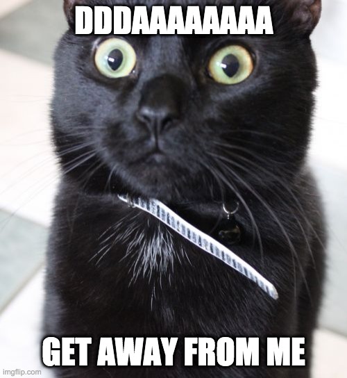 Woah Kitty Meme | DDDAAAAAAAA; GET AWAY FROM ME | image tagged in memes,woah kitty | made w/ Imgflip meme maker