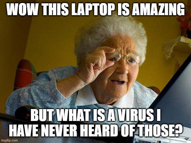 confusing virus | WOW THIS LAPTOP IS AMAZING; BUT WHAT IS A VIRUS I HAVE NEVER HEARD OF THOSE? | image tagged in memes,grandma finds the internet | made w/ Imgflip meme maker