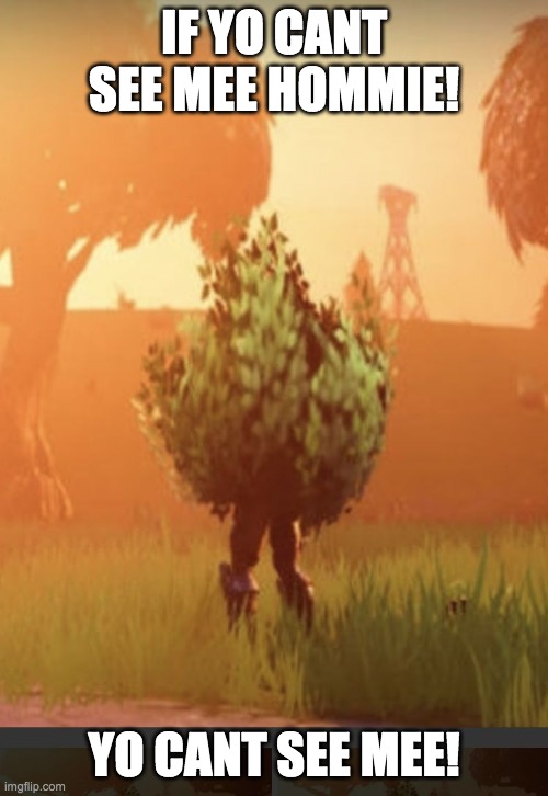 great | IF YO CANT SEE MEE HOMMIE! YO CANT SEE MEE! | image tagged in fortnite bush | made w/ Imgflip meme maker