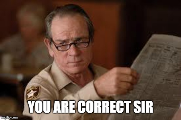 no country for old men tommy lee jones | YOU ARE CORRECT SIR | image tagged in no country for old men tommy lee jones | made w/ Imgflip meme maker