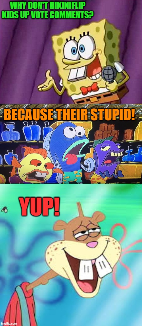 WHY DON'T BIKINIFLIP KIDS UP VOTE COMMENTS? BECAUSE THEIR STUPID! YUP! | made w/ Imgflip meme maker