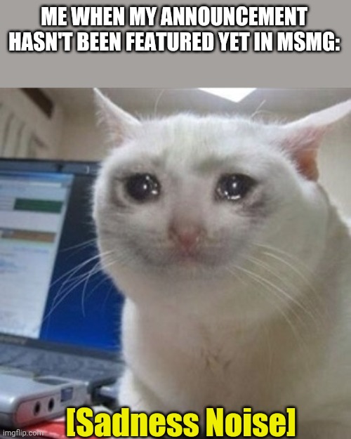 Crying cat | ME WHEN MY ANNOUNCEMENT HASN'T BEEN FEATURED YET IN MSMG:; [Sadness Noise] | image tagged in crying cat | made w/ Imgflip meme maker