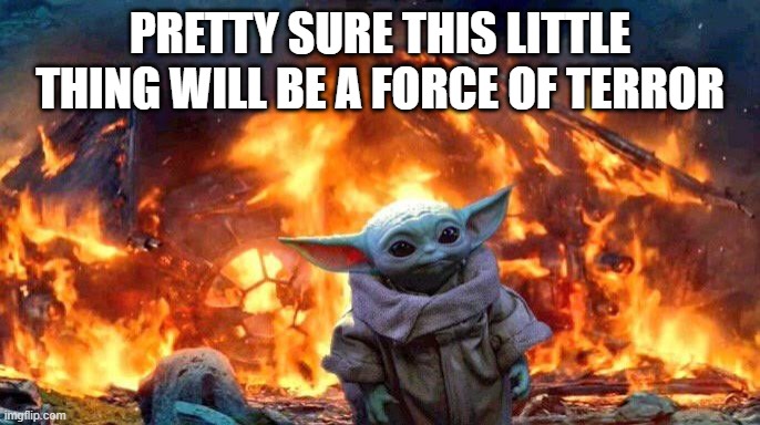 Baby Yoda | PRETTY SURE THIS LITTLE THING WILL BE A FORCE OF TERROR | image tagged in baby yoda | made w/ Imgflip meme maker