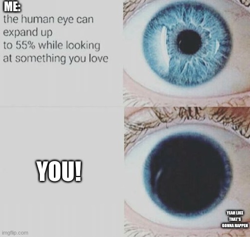 Eye pupil expand | ME:; YOU! YEAH LIKE THAT'S GONNA HAPPEN | image tagged in eye pupil expand | made w/ Imgflip meme maker