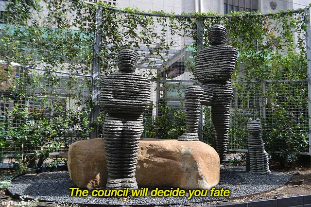rock council | The council will decide you fate | image tagged in the council will decide your fate | made w/ Imgflip meme maker