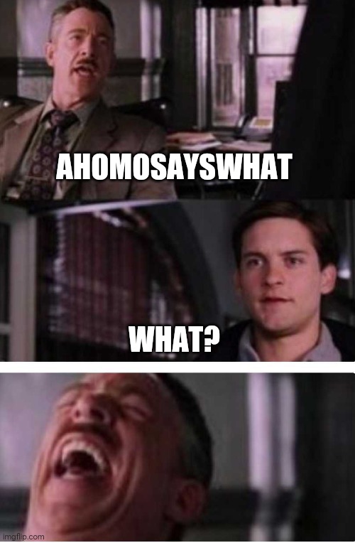 Toby cry | AHOMOSAYSWHAT; WHAT? | image tagged in toby cry | made w/ Imgflip meme maker