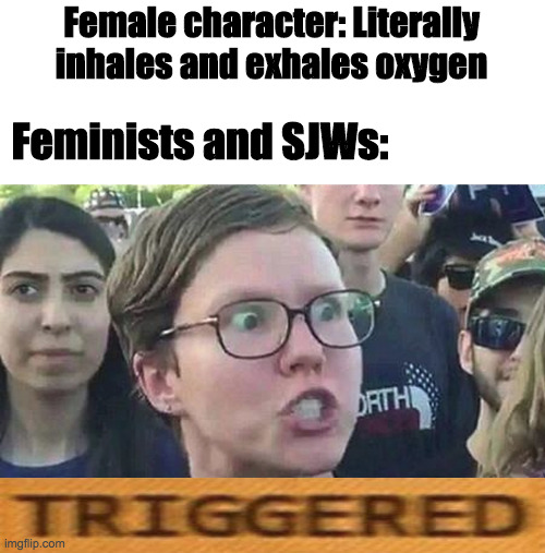 Is breathing sexist? | Female character: Literally inhales and exhales oxygen; Feminists and SJWs: | image tagged in triggered liberal,triggered feminist,sjws | made w/ Imgflip meme maker