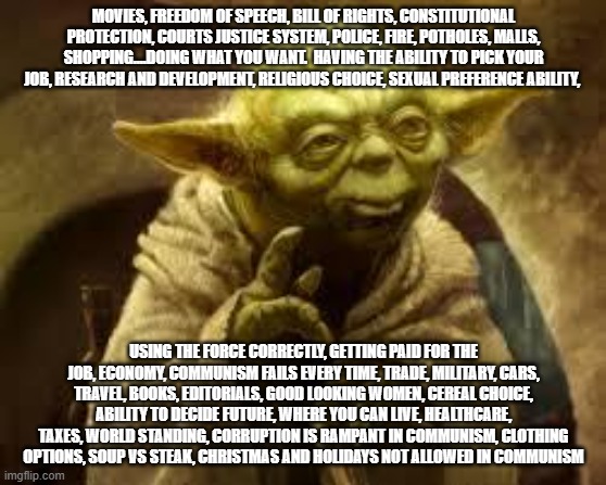 yoda | MOVIES, FREEDOM OF SPEECH, BILL OF RIGHTS, CONSTITUTIONAL PROTECTION, COURTS JUSTICE SYSTEM, POLICE, FIRE, POTHOLES, MALLS, SHOPPING....DOIN | image tagged in yoda | made w/ Imgflip meme maker