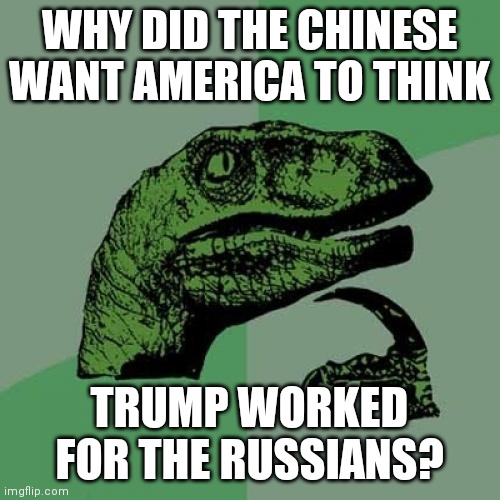 Philosoraptor | WHY DID THE CHINESE WANT AMERICA TO THINK; TRUMP WORKED FOR THE RUSSIANS? | image tagged in memes,philosoraptor | made w/ Imgflip meme maker