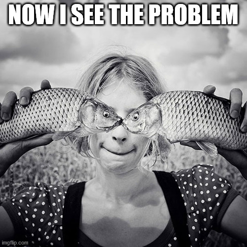 Fish eyes | NOW I SEE THE PROBLEM | image tagged in fish eyes | made w/ Imgflip meme maker