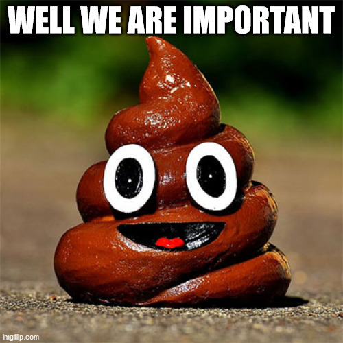 poop | WELL WE ARE IMPORTANT | image tagged in poop | made w/ Imgflip meme maker