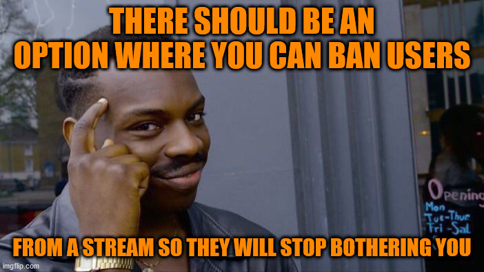srsly, we need that option | THERE SHOULD BE AN OPTION WHERE YOU CAN BAN USERS; FROM A STREAM SO THEY WILL STOP BOTHERING YOU | image tagged in memes,roll safe think about it | made w/ Imgflip meme maker