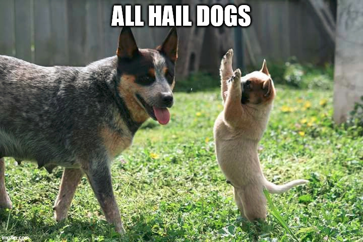 Dogs rule. | ALL HAIL DOGS | image tagged in dogs | made w/ Imgflip meme maker