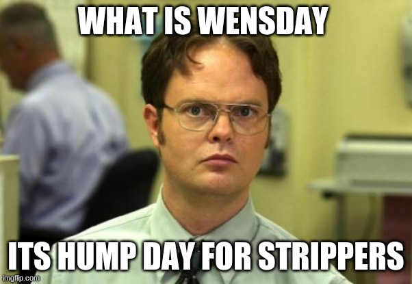 st | WHAT IS WENSDAY; ITS HUMP DAY FOR STRIPPERS | image tagged in strippers | made w/ Imgflip meme maker