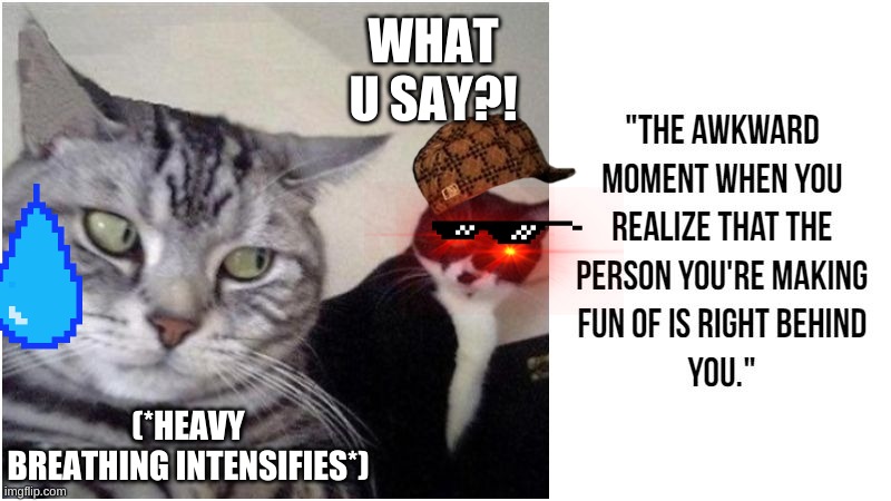 that one moment | WHAT U SAY?! (*HEAVY BREATHING INTENSIFIES*) | image tagged in cats,heavy breathing cat | made w/ Imgflip meme maker