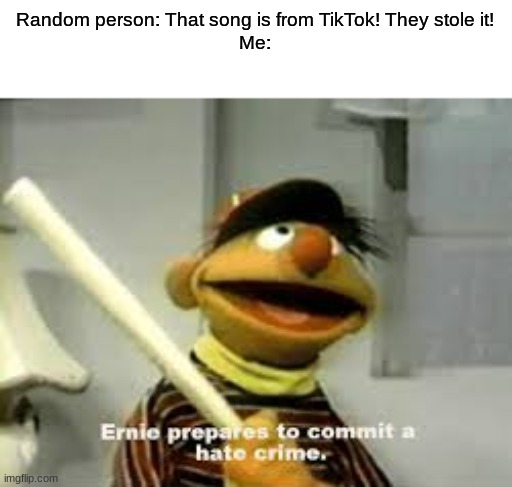 I may be a teenage girl, but I still hate tiktok. | Random person: That song is from TikTok! They stole it!
Me: | image tagged in ernie prepares to commit a hate crime | made w/ Imgflip meme maker