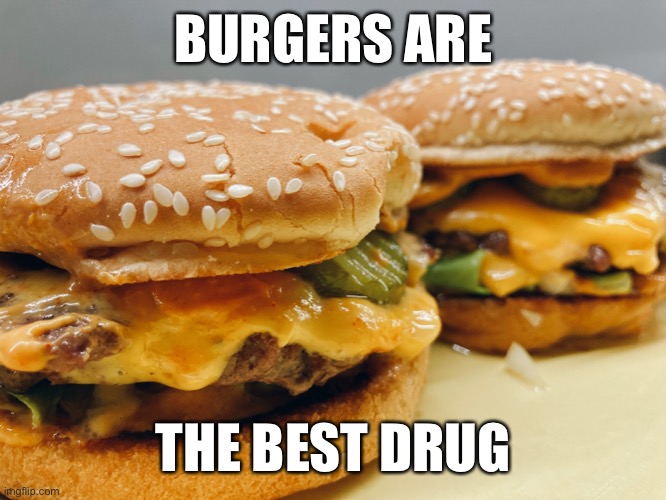 Burgers are the best drug | BURGERS ARE; THE BEST DRUG | image tagged in meme,burgers,drugs | made w/ Imgflip meme maker