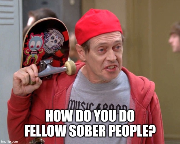 Steve Buscemi Fellow Kids | HOW DO YOU DO FELLOW SOBER PEOPLE? | image tagged in steve buscemi fellow kids | made w/ Imgflip meme maker