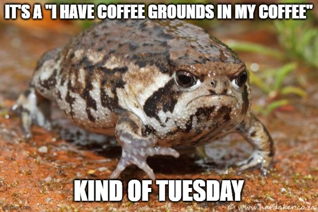 Grumpy Tuesday |  IT'S A "I HAVE COFFEE GROUNDS IN MY COFFEE"; KIND OF TUESDAY | image tagged in memes,grumpy toad | made w/ Imgflip meme maker