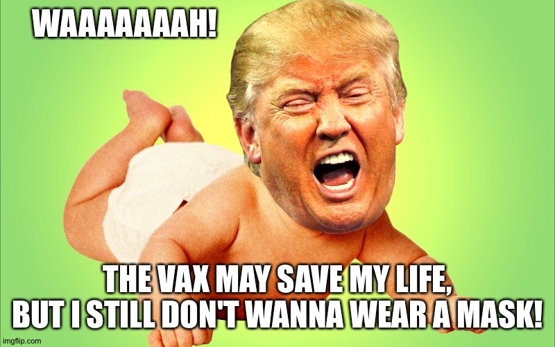 Baby Trump | WAAAAAAAH! THE VAX MAY SAVE MY LIFE, BUT I STILL DON'T WANNA WEAR A MASK! | image tagged in baby trump | made w/ Imgflip meme maker