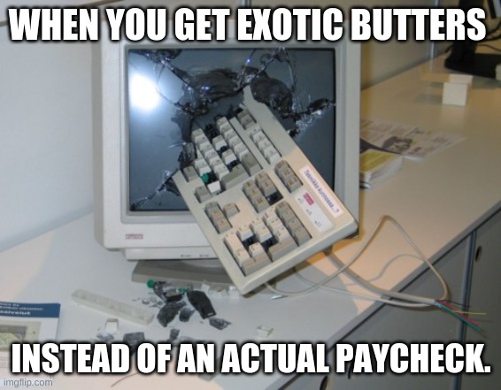E x o t i c b u t t e r s g o b r r r r | WHEN YOU GET EXOTIC BUTTERS; INSTEAD OF AN ACTUAL PAYCHECK. | image tagged in broken computer | made w/ Imgflip meme maker