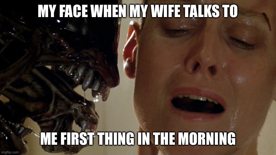 ripley-aliens |  MY FACE WHEN MY WIFE TALKS TO; ME FIRST THING IN THE MORNING | image tagged in funny,funny memes,memes,dank memes,dank,so true | made w/ Imgflip meme maker