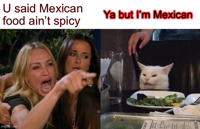 Woman Yelling At Cat | U said Mexican food ain’t spicy; Ya but I’m Mexican | image tagged in memes,woman yelling at cat | made w/ Imgflip meme maker