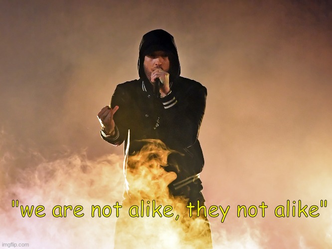 Eminem we are not alike | image tagged in we are not alike | made w/ Imgflip meme maker