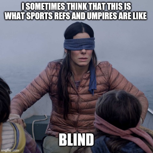 I think it's true | I SOMETIMES THINK THAT THIS IS WHAT SPORTS REFS AND UMPIRES ARE LIKE; BLIND | image tagged in memes,bird box,refs | made w/ Imgflip meme maker