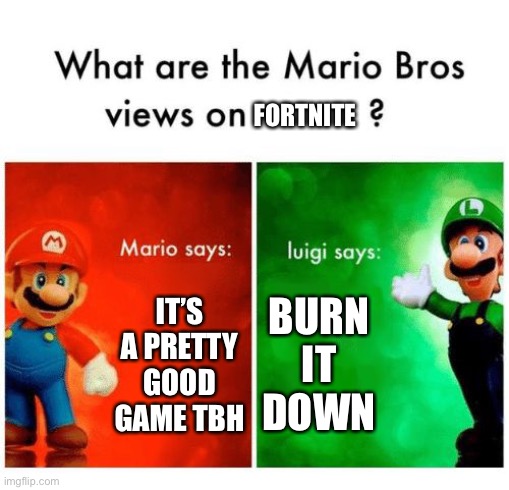 Mario says Luigi says | FORTNITE; IT’S A PRETTY GOOD GAME TBH; BURN IT DOWN | image tagged in mario says luigi says | made w/ Imgflip meme maker
