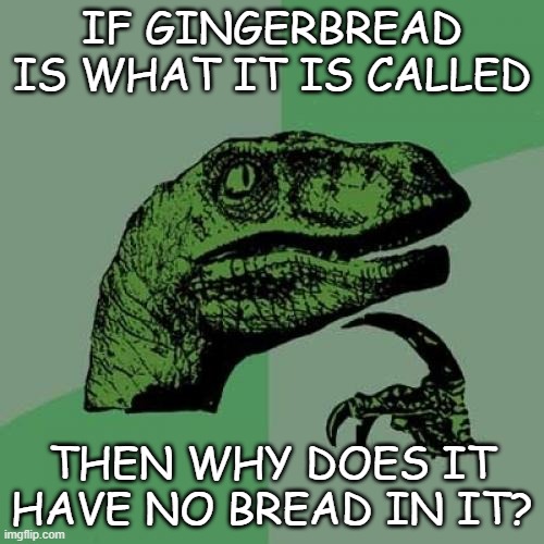 Philosoraptor Meme | IF GINGERBREAD IS WHAT IT IS CALLED; THEN WHY DOES IT HAVE NO BREAD IN IT? | image tagged in memes,philosoraptor | made w/ Imgflip meme maker