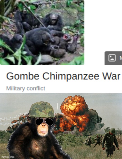 Reject Humanity, Return to monke. | image tagged in monkey,battle | made w/ Imgflip meme maker