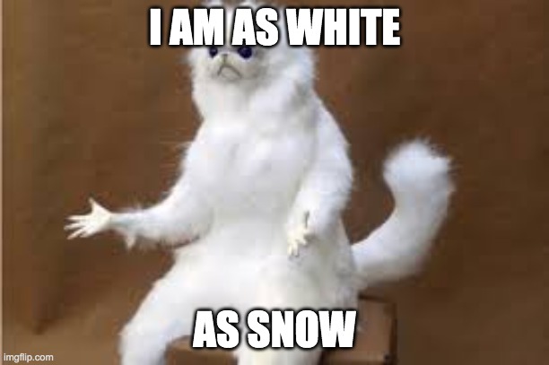 c | I AM AS WHITE; AS SNOW | image tagged in angry cat meme | made w/ Imgflip meme maker