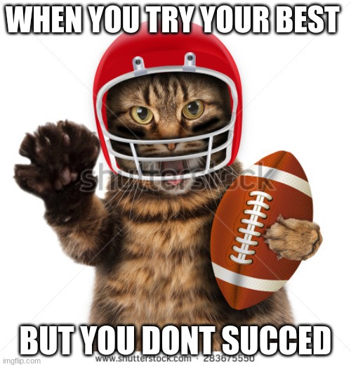sdafa | WHEN YOU TRY YOUR BEST; BUT YOU DONT SUCCED | image tagged in sports | made w/ Imgflip meme maker