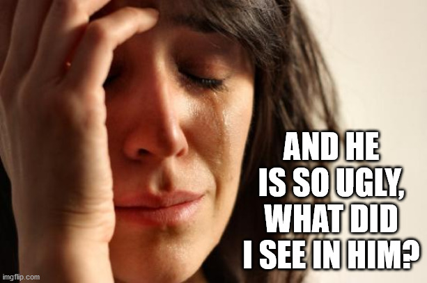 First World Problems Meme | AND HE IS SO UGLY, WHAT DID I SEE IN HIM? | image tagged in memes,first world problems | made w/ Imgflip meme maker