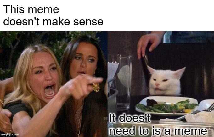 The cat has a point | This meme doesn't make sense; It does't need to is a meme | image tagged in memes,woman yelling at cat | made w/ Imgflip meme maker