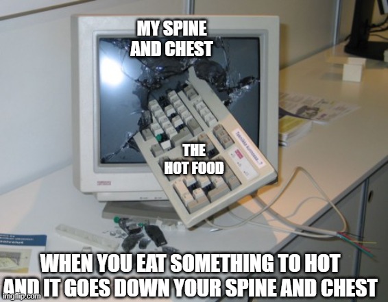 Dying from hot food is not favorable! | MY SPINE AND CHEST; THE HOT FOOD; WHEN YOU EAT SOMETHING TO HOT AND IT GOES DOWN YOUR SPINE AND CHEST | image tagged in broken computer,food,pain,hot | made w/ Imgflip meme maker