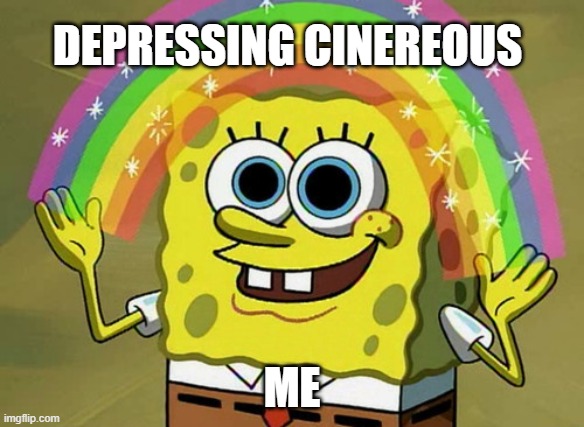 Imagination Spongebob Meme |  DEPRESSING CINEREOUS; ME | image tagged in memes,imagination spongebob | made w/ Imgflip meme maker