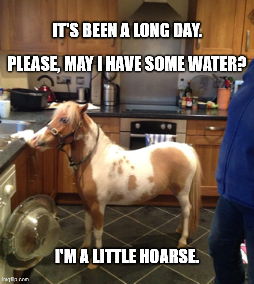 Thirsty Horse | IT'S BEEN A LONG DAY. PLEASE, MAY I HAVE SOME WATER? I'M A LITTLE HOARSE. | image tagged in haiku,horse,pun,meme,pony | made w/ Imgflip meme maker
