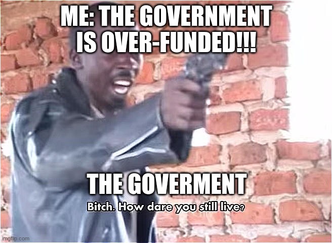 man, 217 billion for the military each year? | ME: THE GOVERNMENT IS OVER-FUNDED!!! THE GOVERMENT | image tagged in bitch how dare you still live | made w/ Imgflip meme maker