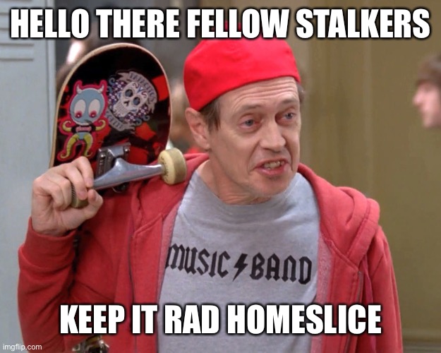 Trust me, I’m a Professional | HELLO THERE FELLOW STALKERS; KEEP IT RAD HOMESLICE | image tagged in steve buscemi fellow kids,trust me,steven,sorry,gg ez | made w/ Imgflip meme maker